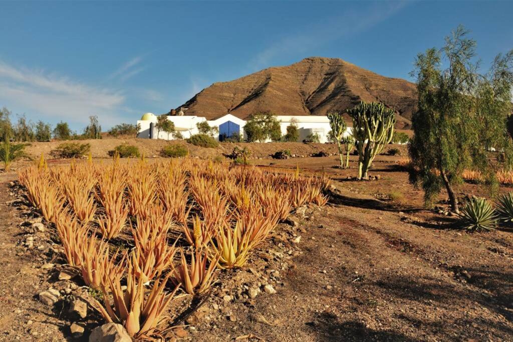 Tranquila Tierra - Eco Retreat Finca Artis Tirma Tarajalejo Exterior foto
